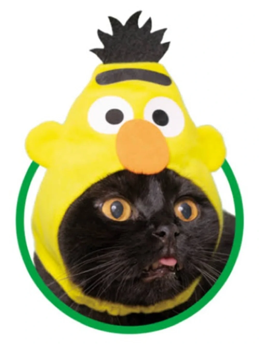 Sesame Street from japan